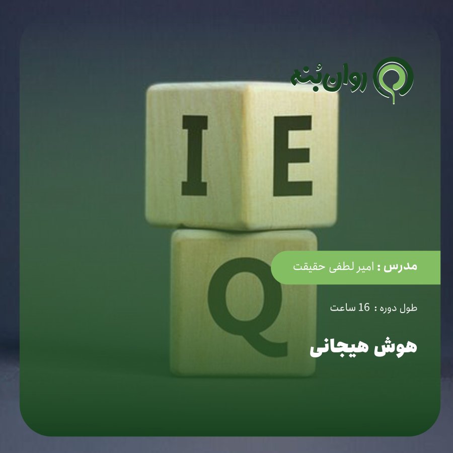 هوش هیجانی